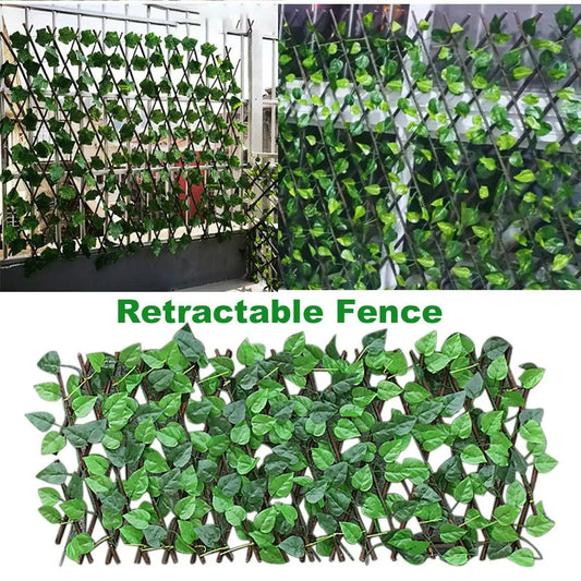 Expandable Ivy Privacy Fence