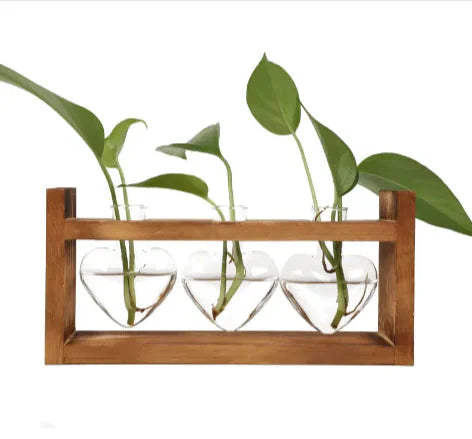 Heart-Shaped Glass Vase with Wooden Stand – stylish and elegant! Anti Spier